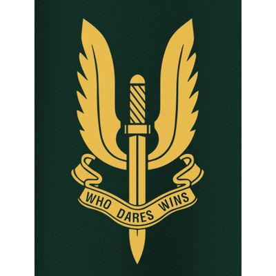 Balidaan Badge Half Sleeve T-shirt for Men Buy Army T Shirts Online