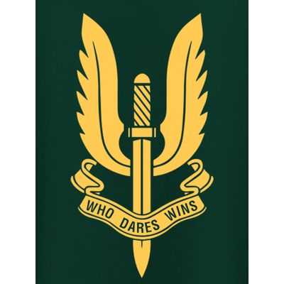 Balidaan Badge womens plus size t shirts